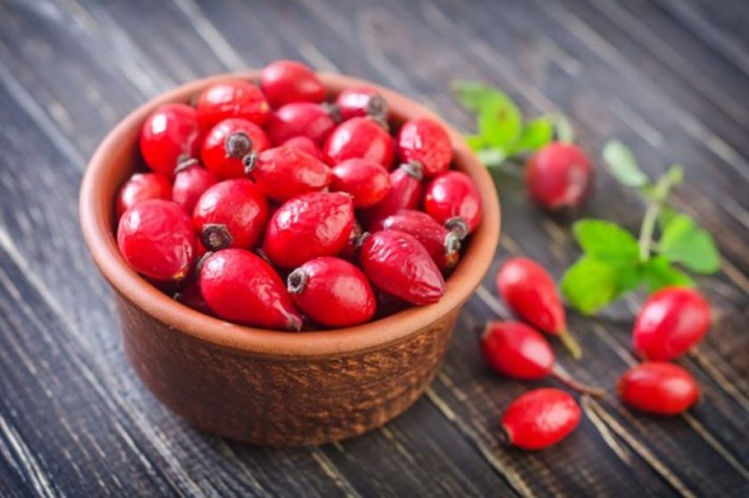 rose-hip-4-710x473-33zs8klnubwkamhqpnr2f4